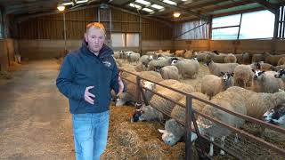 Welcome to Reaseheath's online Lambing event