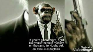 Funny Monkey Memes
