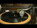 青柳(南地 菊蝶)80rpm