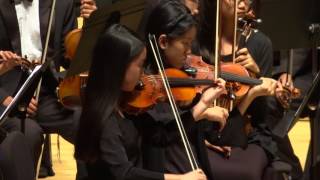 Huapango Del Oso - Gabriel Musella - Houston Youth Symphony