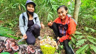 แจ็คพอตแตก🆘️เห็ดโคนป่า 🍄🍄น้องฝ้ายขุดจนมือแตก