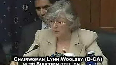 Independent Contractor Hearing: Chairwoman Lynn Wo...