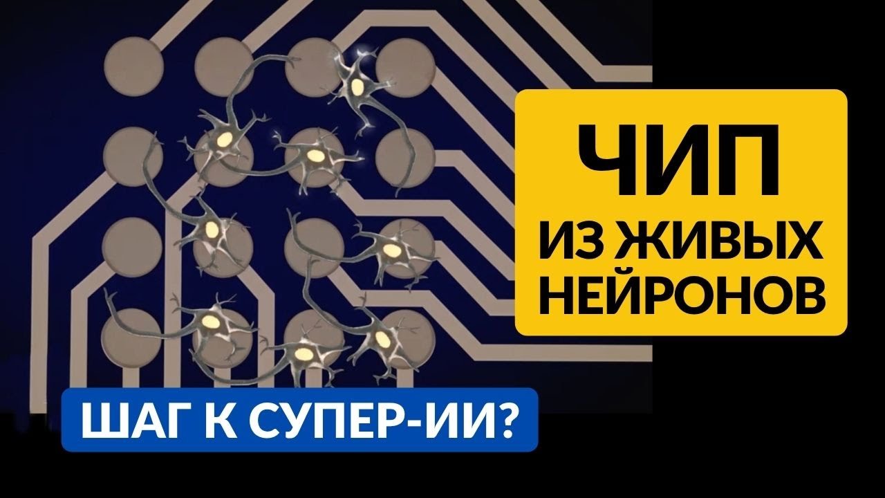ИИ из ПРОБИРКИ! Новая нейросеть на живых клетках мозга и ее супер-способности