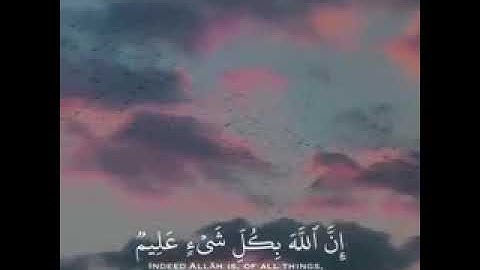 الله يبسط الرزق لمن يشاء | ارح قلبك | القرآن الكريم | حالات واتس اب