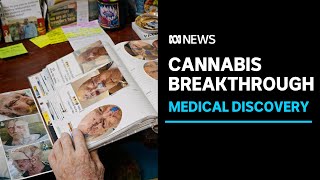 New RMIT, CDU study finds cannabis has 'deadly' effect on melanomas in laboratory | ABC News