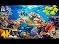 Ocean 4K - Sea Animals for Relaxation, Beautiful Coral Reef Fish in Aquarium (4K Video Ultra HD) #71