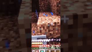 (マイクラ)プレーヤーVSゾンビ　マイクラ