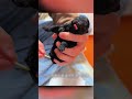Dumped Puppy Gets New Life
