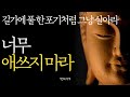 석가모니 명언 인생조언 생각이 많고 예민한 사람 삶의 질을 높이는 방법 한 살이라도 어릴 때 이걸 하세요 매일 들으세요 삶이 힘들고 지칠 때 부처님 불교 ASMR 수면