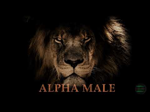 ALPHA MALE Subliminal Subconscious Programming Mindset Pheromones