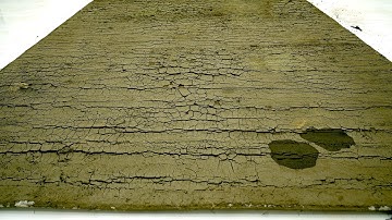 This Rug Turned to Stone – Watch It Come Back to Life! | Carpet Cleaning ASMR, Satisfying Video