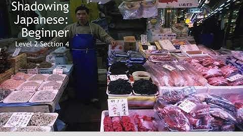 Shadowing Beginner Japanese - Level 2 Section 4