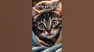 고양이 나이  | 고양이 나이와 사람나이 계산법 #고양이상식 #고양이건강 #cat #shorts