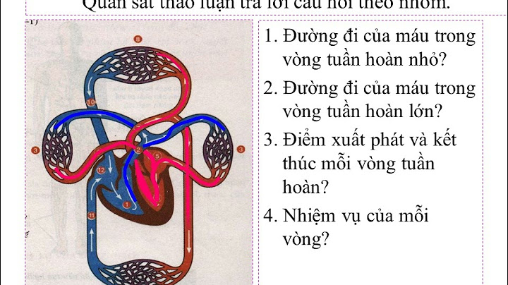 Giải vở bài tập sinh học 8 bài 16 năm 2024