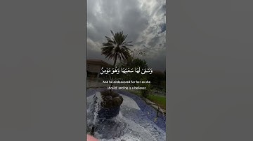 #اكسبلور #تلاوة_خاشعة #تيك_توك #المصحف #حالة_وتساب #راحة_نفسية #قرآن_كريم_أرح_قلبك_وسمعك