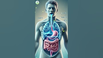 Đừng uống nước lạnh khi đang bị nóng? Coi chừng bạn bị lừa cả đời!