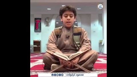 القارئ انس شهاب