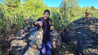 Me Voy A Comer El Lomo Que Hicimos, Poca Broma Con El Panorama Que Tenemos