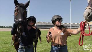 2023- USTrotting -