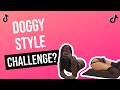 Bugs Bunny Challenge Part 4 | Girls Arch Their Backs | TikTok Compilation 2021