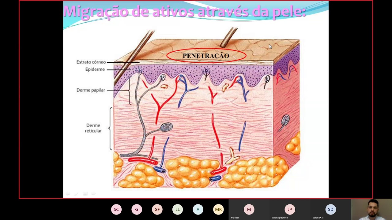 Tecnologia Farmacêutica - Penetração, Permeação e Absorção de ativos através da pele