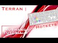 Terran Hotkeys | Life changing tips to setup your keyboard and mouse