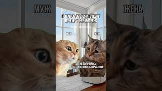 Не знаю как она выживает пока меня нет 😂 #new #reels #funny #cats #tiktok #кот