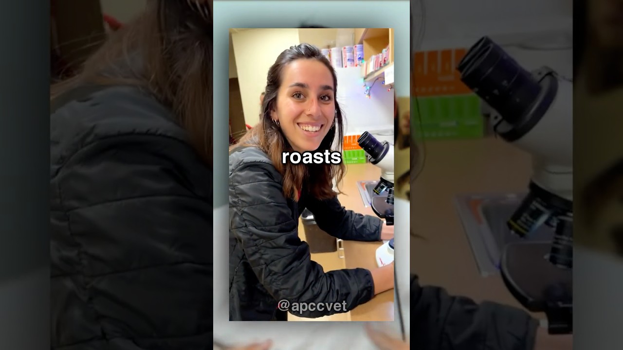 Generation Z vs Millennials Battle ⚔️