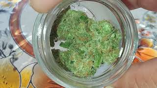 Strawbinatti by 3c Farms #3cfarms