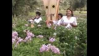 Marleny Huayapa - Urccupi Pichiuchacuna