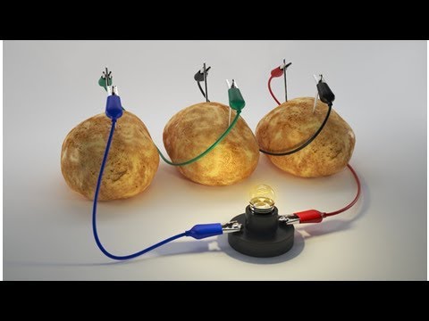 Why Do Some Fruits and Vegetables Conduct Electricity? - YouTube