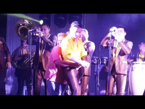 Bailes En Estados Unidos