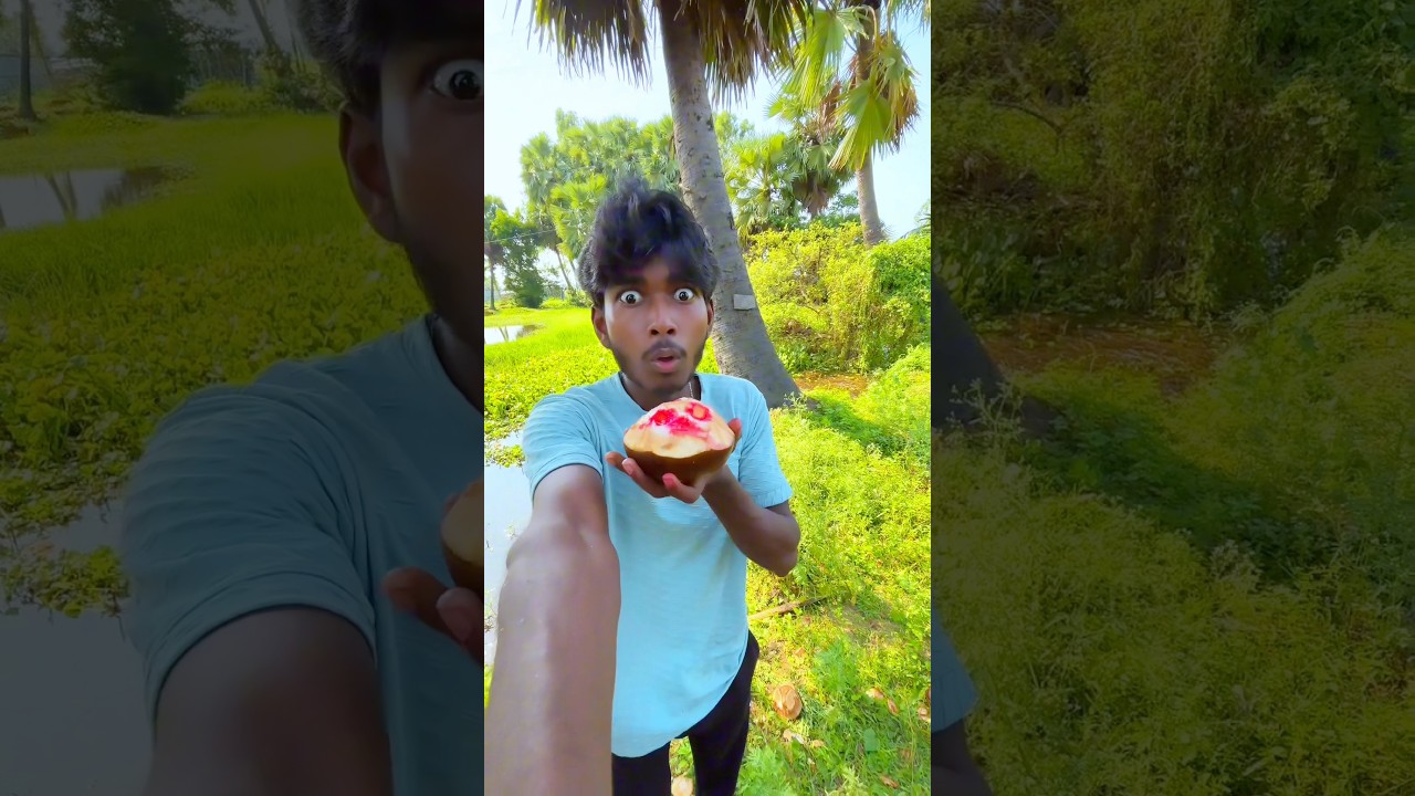 ভয়ানক তালগাছ | 🌴😲 | #minivlog #vlog