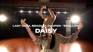 Lady Gaga, Bradley Cooper - Shallow | DAISY X TREE | K-ALLEY DANCE STUDIO