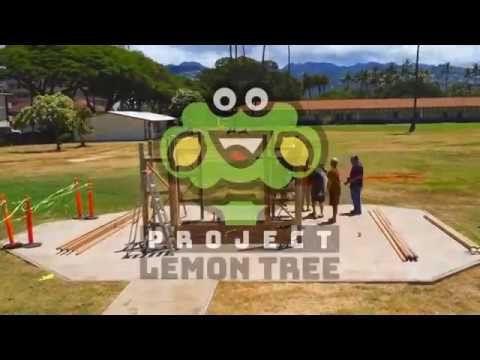 Project Lemon Tree: Jefferson Elementary&rsquo;s Story