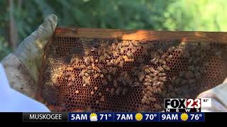 Beekeeper searches for beehives stolen from Rogers County