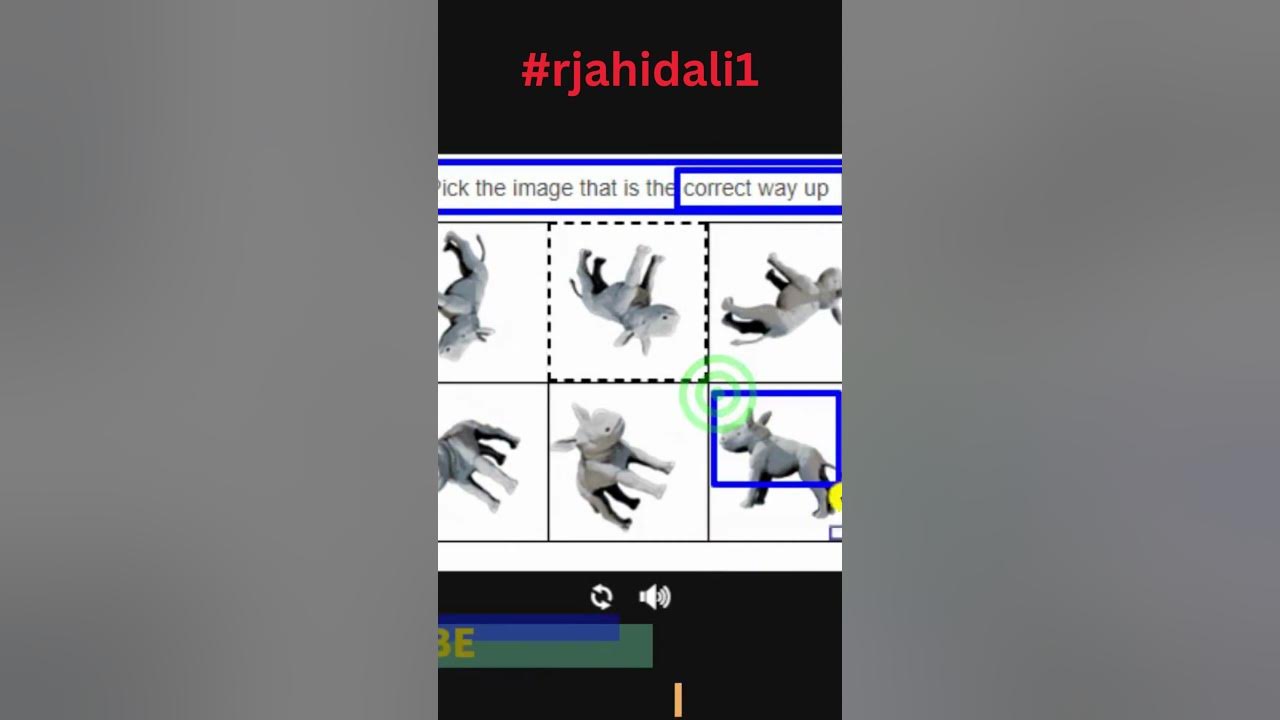 Pick the image that is the correct way up funcaptcha short rjahidali1 viral shortsvideo