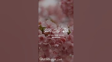 قرآن|يا ايها الذين امنوا اركعوا و اسجدوا|سورة الحج الآية ٧٧|#قرآن #قران_كريم #سورة_الحج