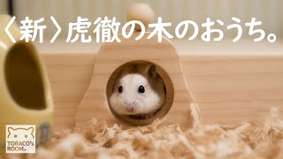 【新】こてっちゃんの木のおうち。【ジャンガリアンハムスター】/Hamster Cotetsu's new wooden house.