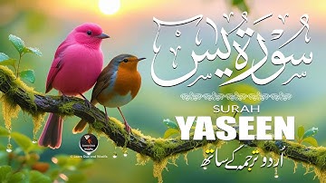 Surah Yaseen (Yasin) سورة يس | Ultimate Lofi Quran | Heart Touching Relaxing Voice | EP-152