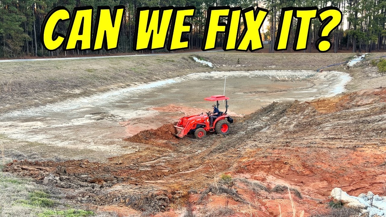 Наша катастрофа с прудом, обошедшаяся в 30 000 долларов: путь к восстановлению.