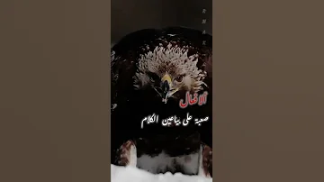 حالات واتس اب حماسية ستوريات اغاني حالات سوريا العراق حالات واتس حماسية حزن حالات واتس اب 