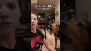 CATandDOG Funny Video 😻😆#subscribers #funnyvideo#viwes #beautifulviwes#viral#outsanding #amzing