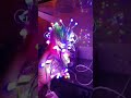 Rice LED Diwali light