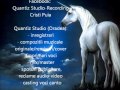 Movie soundtrack film score ost music by cristi puia quantiz studio oradea