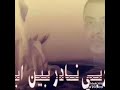 سيد السماحه من روائع نادر خضر سيد السماحه من روائع نادر خضر