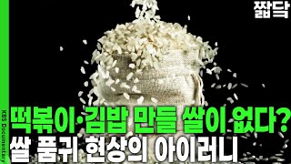 소비량은 줄고, 창고엔 쌀이 쌓이는데 가공용 쌀은 부족? 아이러니한 현실 속 쌀의 역설 | KBS 20250914 방송