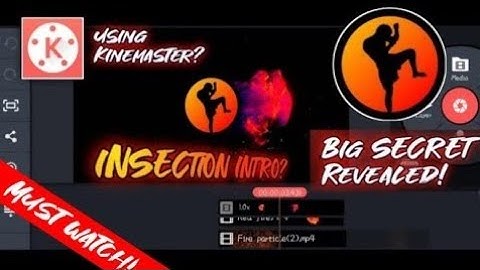 HOW TO MAKE INTRO LIKE INSECTION