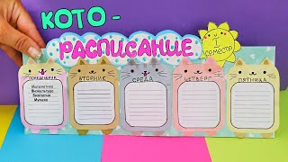 DIY РАСПИСАНИЕ УРОКОВ из бумаги СВОИМИ РУКАМИ! Back to School timetable DIY видео