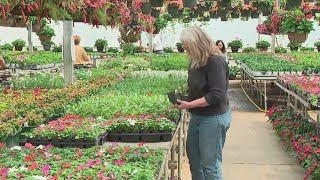 Is it too early to start planting? Here's what Ohioans should know if they plan on gardening.